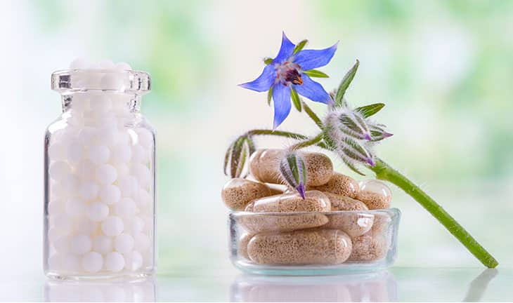 La phytothérapie : se soigner par les plantes La phytothérapie : se soigner par les plantes