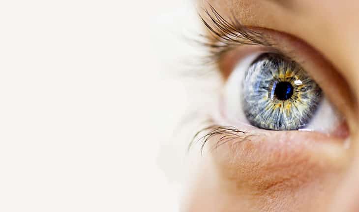 Lutéine/Zéaxanthine : protéger votre vue