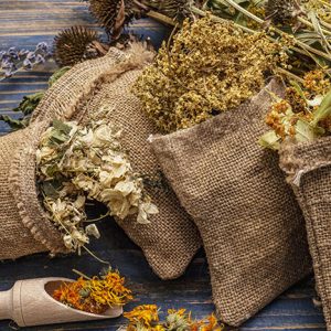 Quelles graines sauvages pour une meilleure santé ?